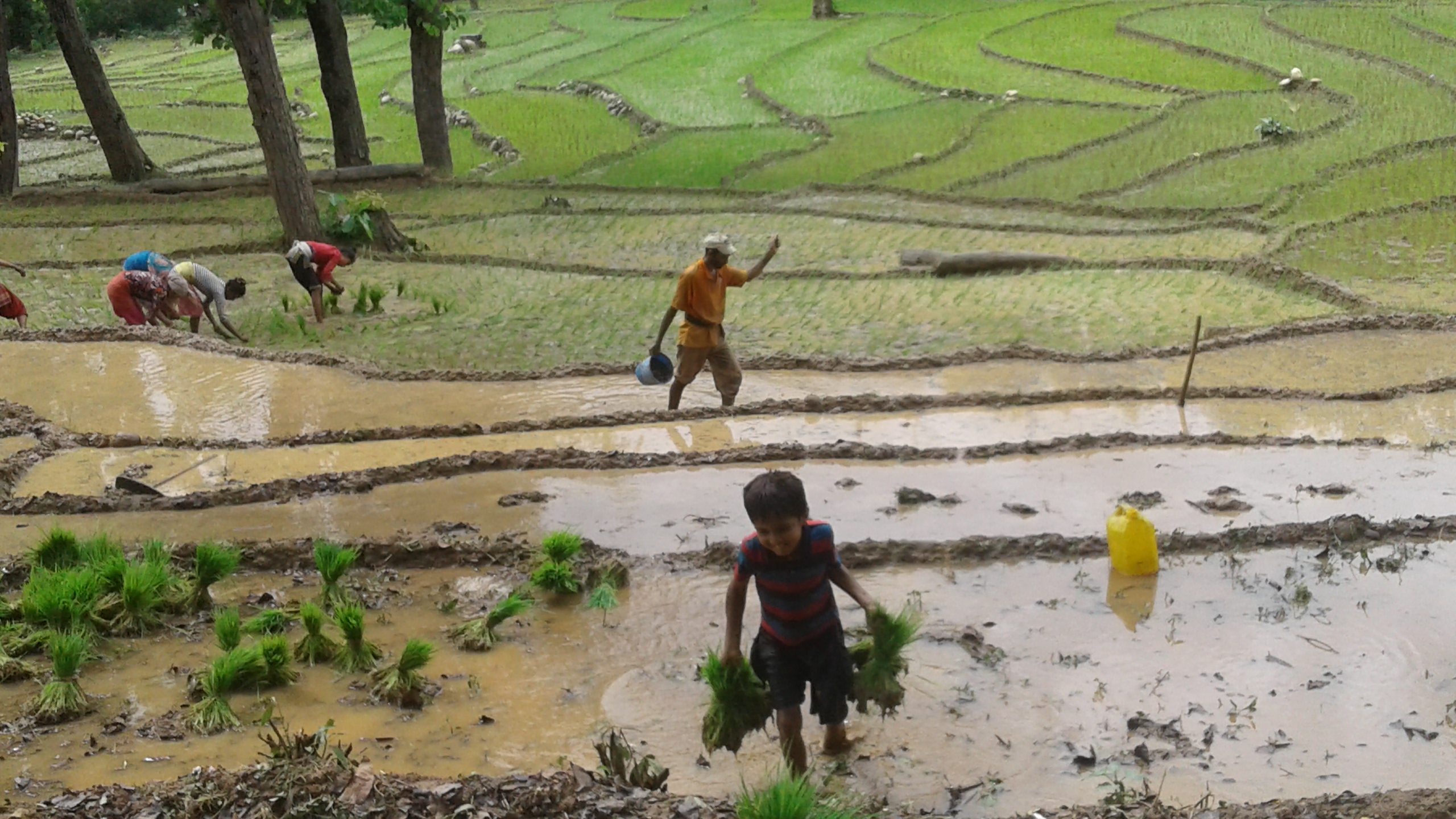 Tharu Fishing Net